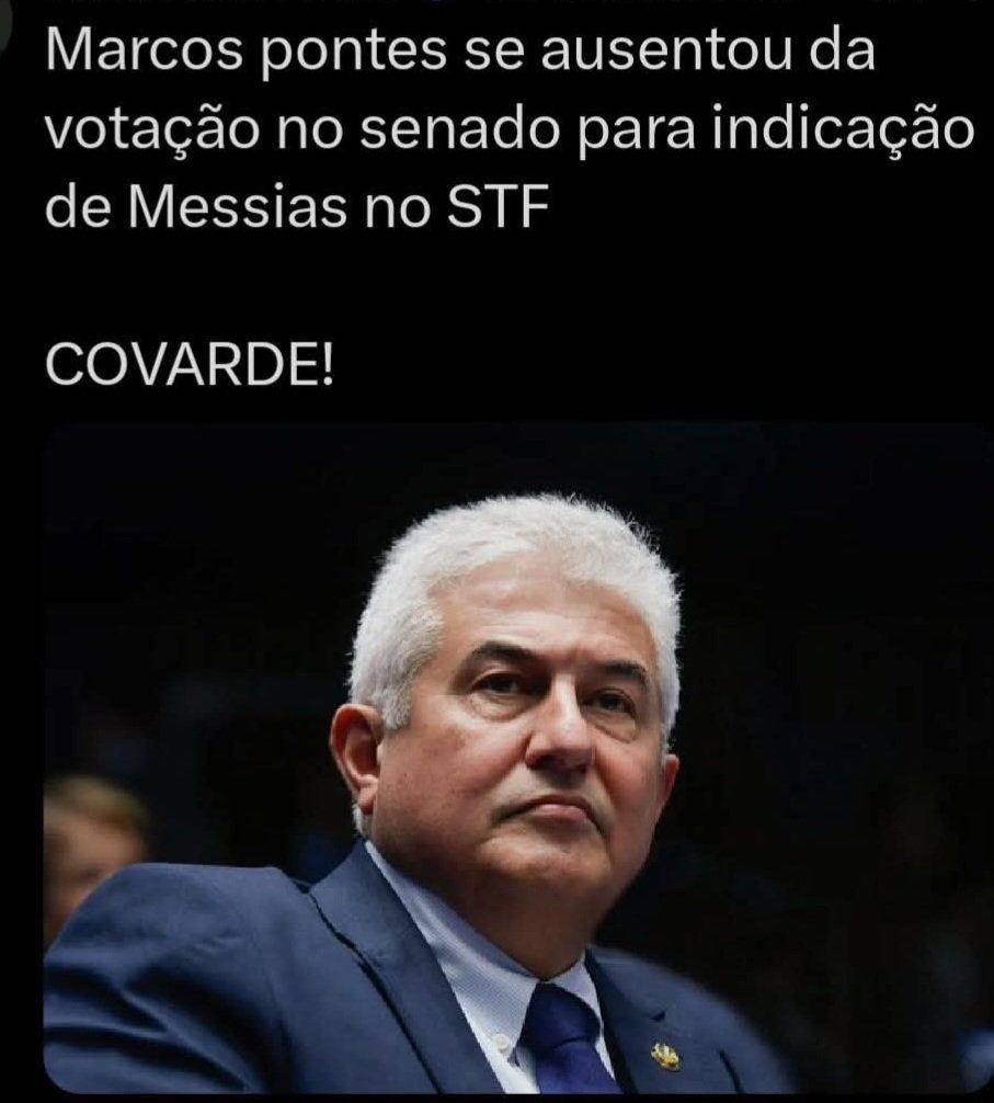 Helena🇧🇷🌻 tweet media