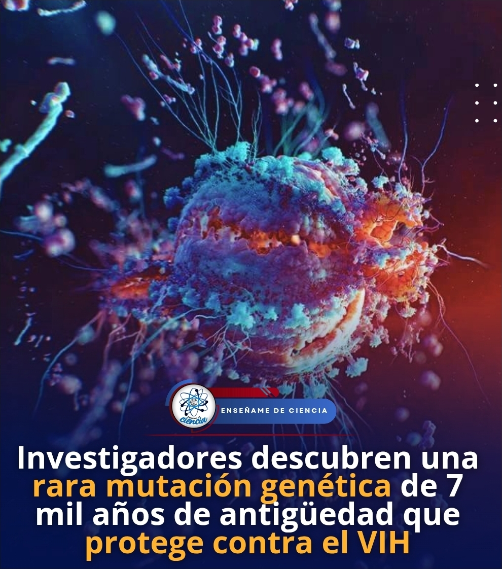 ⚠️El Virus de la Inmunodeficiencia Humana (VIH) afecta a millones de personas en el mundo. Aunque se creía que ante este virus no hay ningún tipo de protección en el cuerpo, científicos han quedado asombrados al conocer una mutación prehistórica que protege contra el VIH