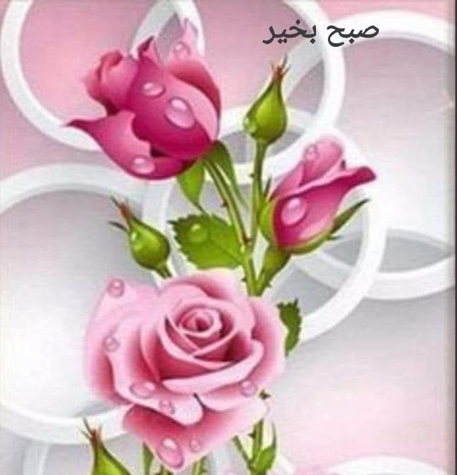 ᰔᩚ پگلا کہیں کا 2 ᰔᩚ tweet media