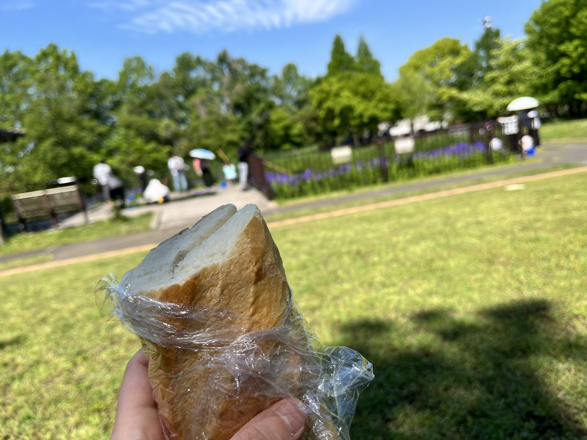 いもむし（すごい）Sakeimo tweet media