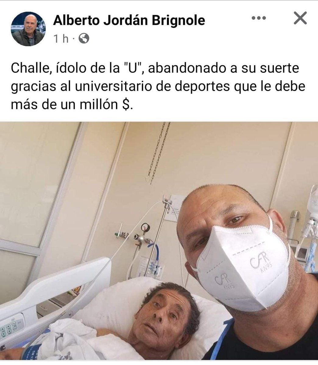 barriogrone's tweet photo. @merengue8161 A LOS C4BR0S DE @Universitario S0PLONES, CABECEADORES, ASESINOS Y RACISTAS NOS LOS PASAMOS POR LA PVNT4 DEL PINCHO MARICÓN Y LA R3C0NCH4 DE TU M4DR3!! https://t.co/pgHOIsRq5n