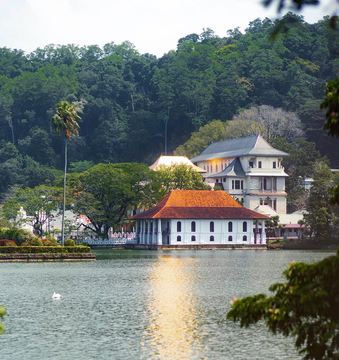 HeimlerD's tweet photo. අනභිභවනීය සෙංකඩගල මහා නුවර 
Unconquerable great city of senkadagala https://t.co/ftG3Pzb3rC