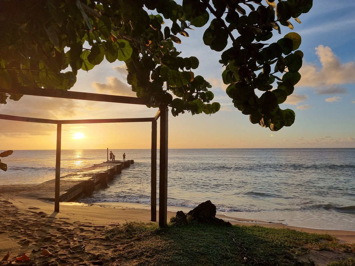 Estherwattie's tweet photo. Trinidad and Tobago 🇹🇹 ♥️ https://t.co/kSUz0gIRS7