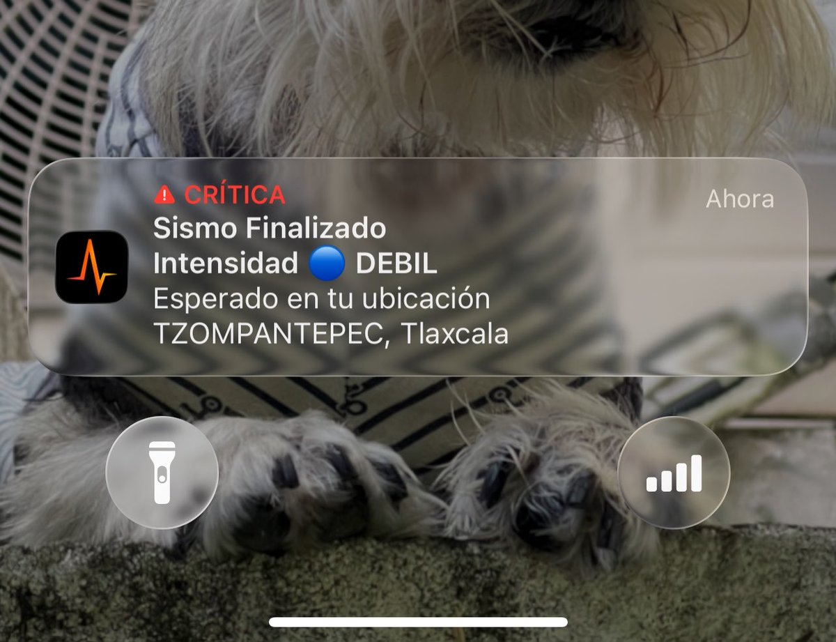 Saidro_Lorenzo's tweet photo. @SkyAlertMx La notificación llegó ya cuando habían pasado dos minutos después. https://t.co/sxYv44VXj6