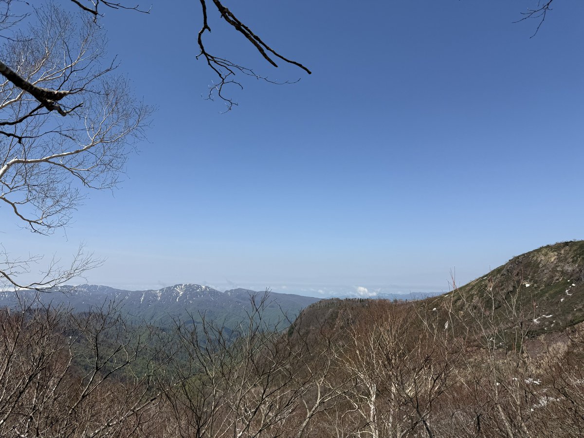 こーち tweet media