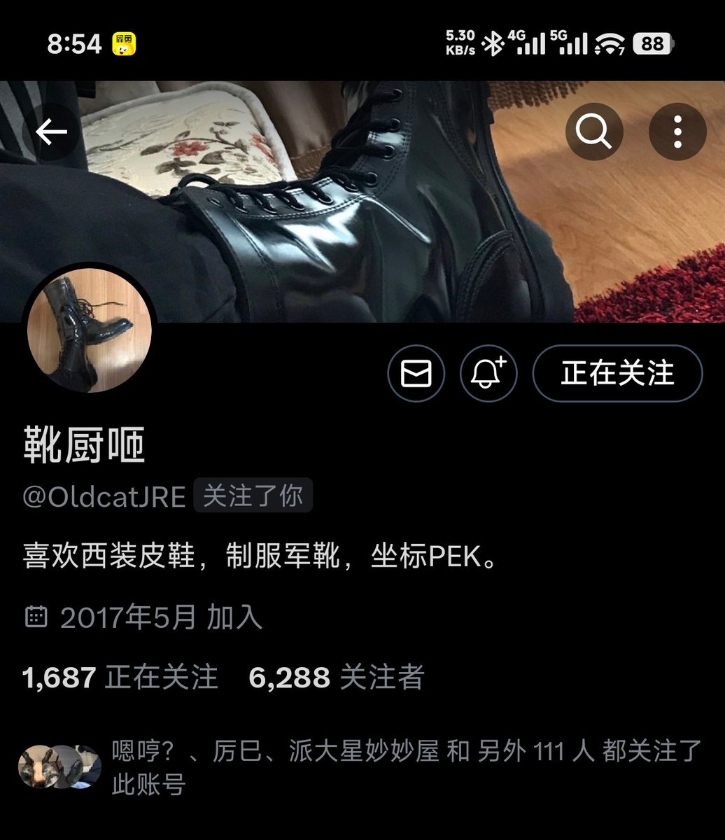 鲜肉包 tweet media