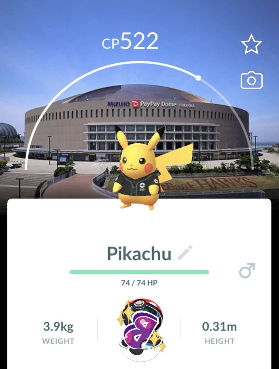 ✨BOZA Pokemon Go✨ tweet media