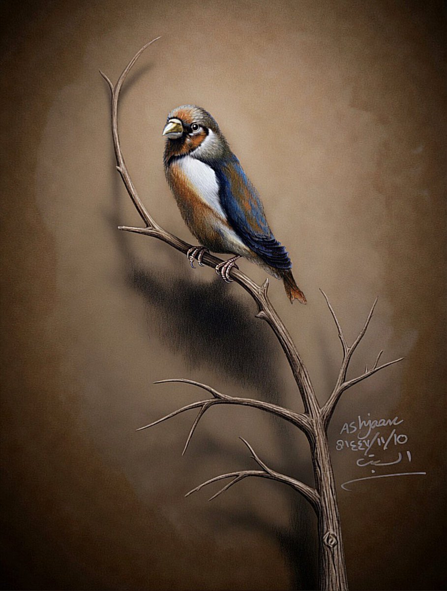 أشجـان (( فنانة تشكيلية ))🇸🇦🎨 tweet media