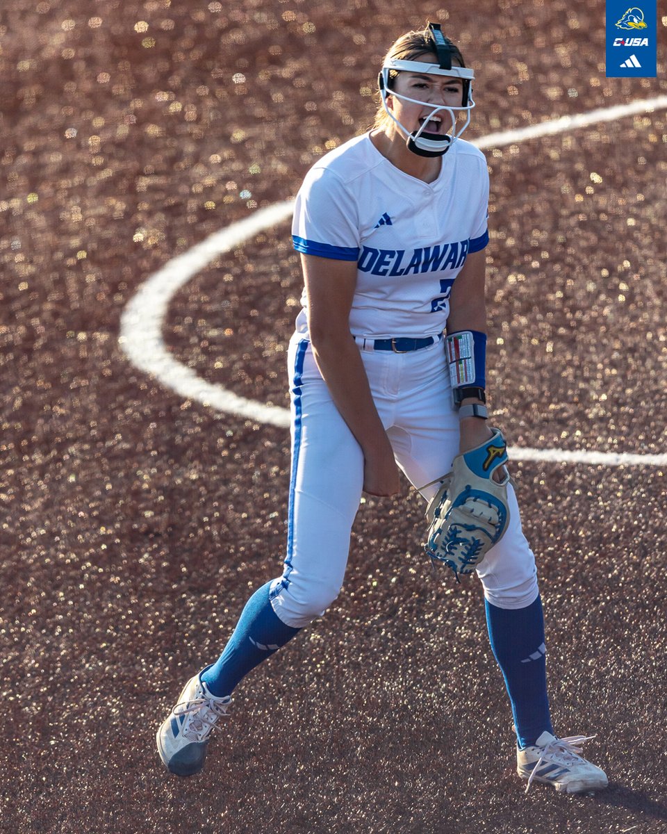 Delaware Softball tweet media