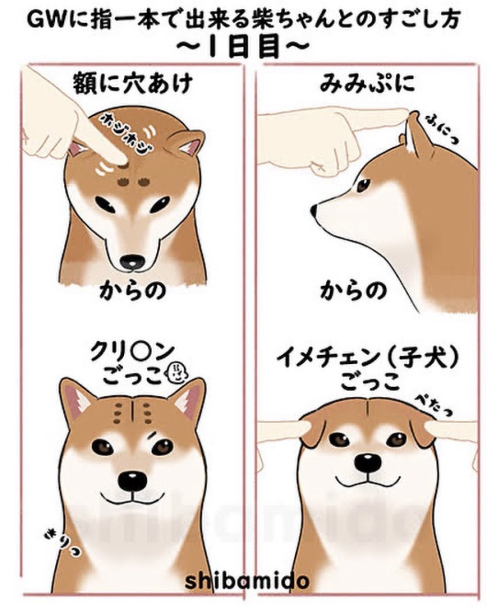柴三堂@柴犬絵描き人 tweet media