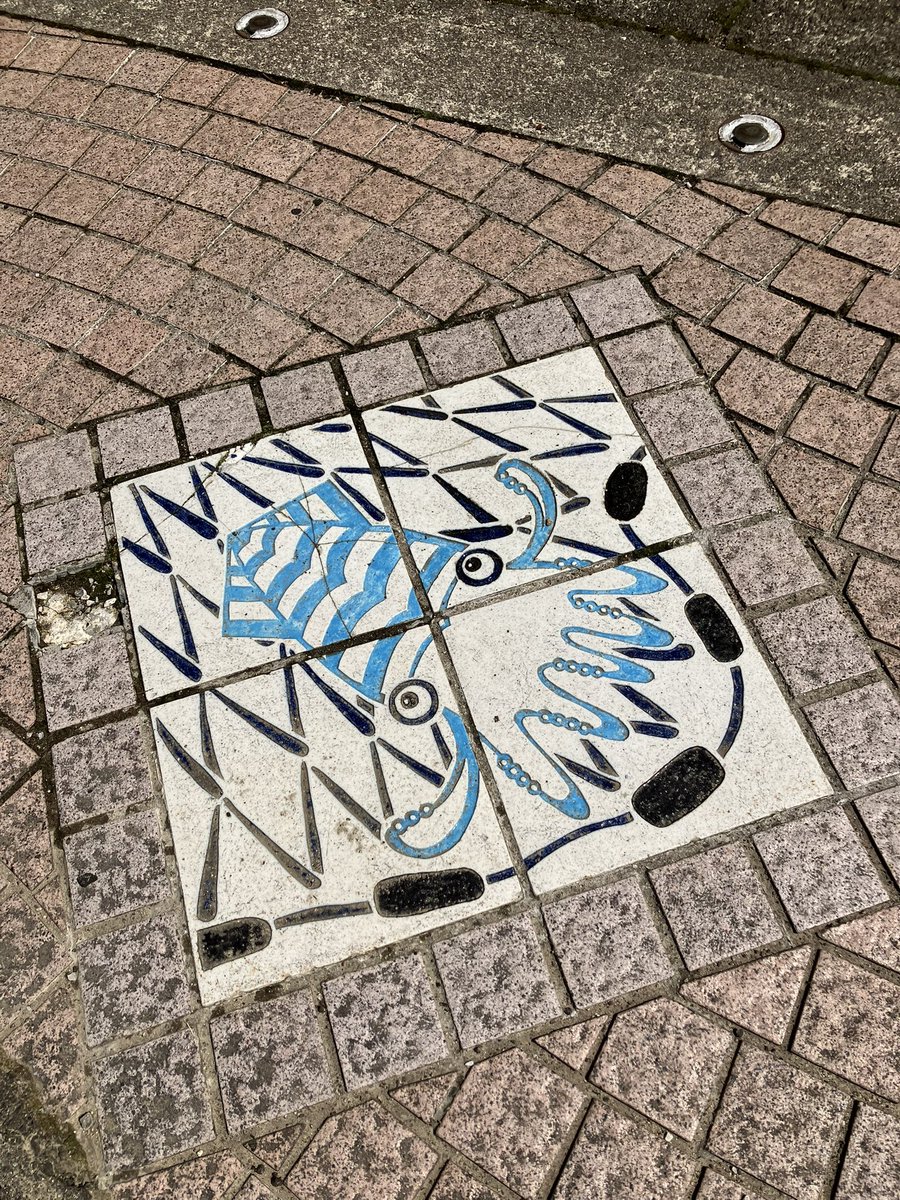 かたでぃー / 片瀬 尋 tweet media