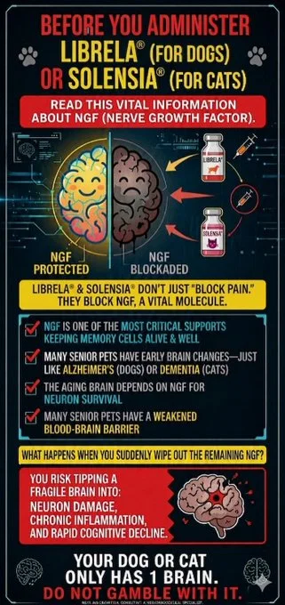 kelllynn28's tweet image. Pets Cats Dogs Caturday CatsofX DogsofX Librela Sollensia Beransa

#Pets #Cats #Dogs #Caturday #CatsofX #DogsofX #Librela #Solensia #Beransa