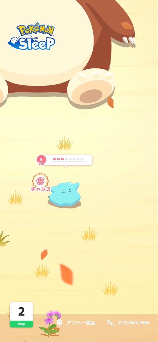 ハロ🦀✂️ tweet media
