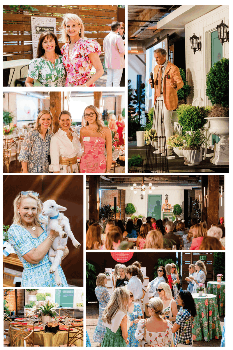 Powell Gardens tweet media