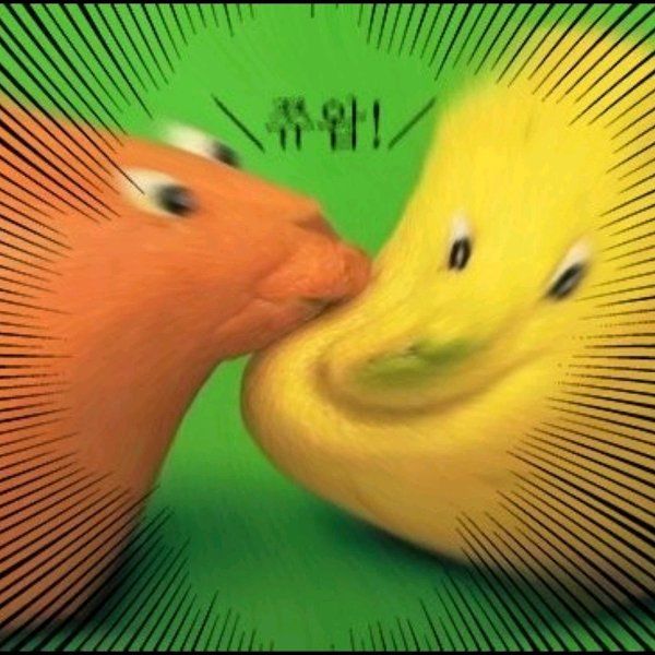 ㄹㅍ tweet media