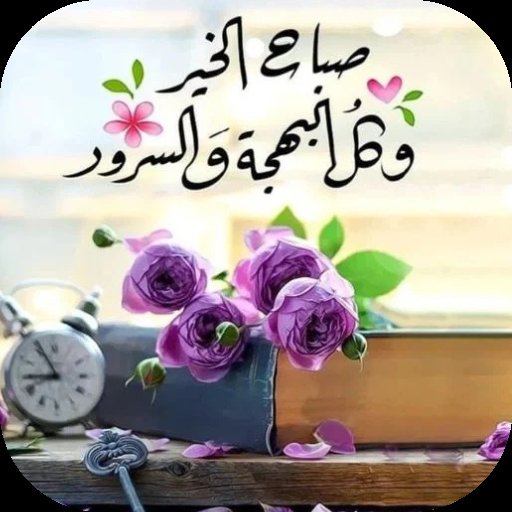 @عائشة_العراقية tweet media