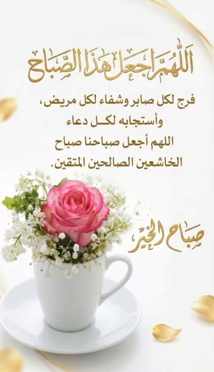 ✨️ YOUSIF ✨️ tweet media
