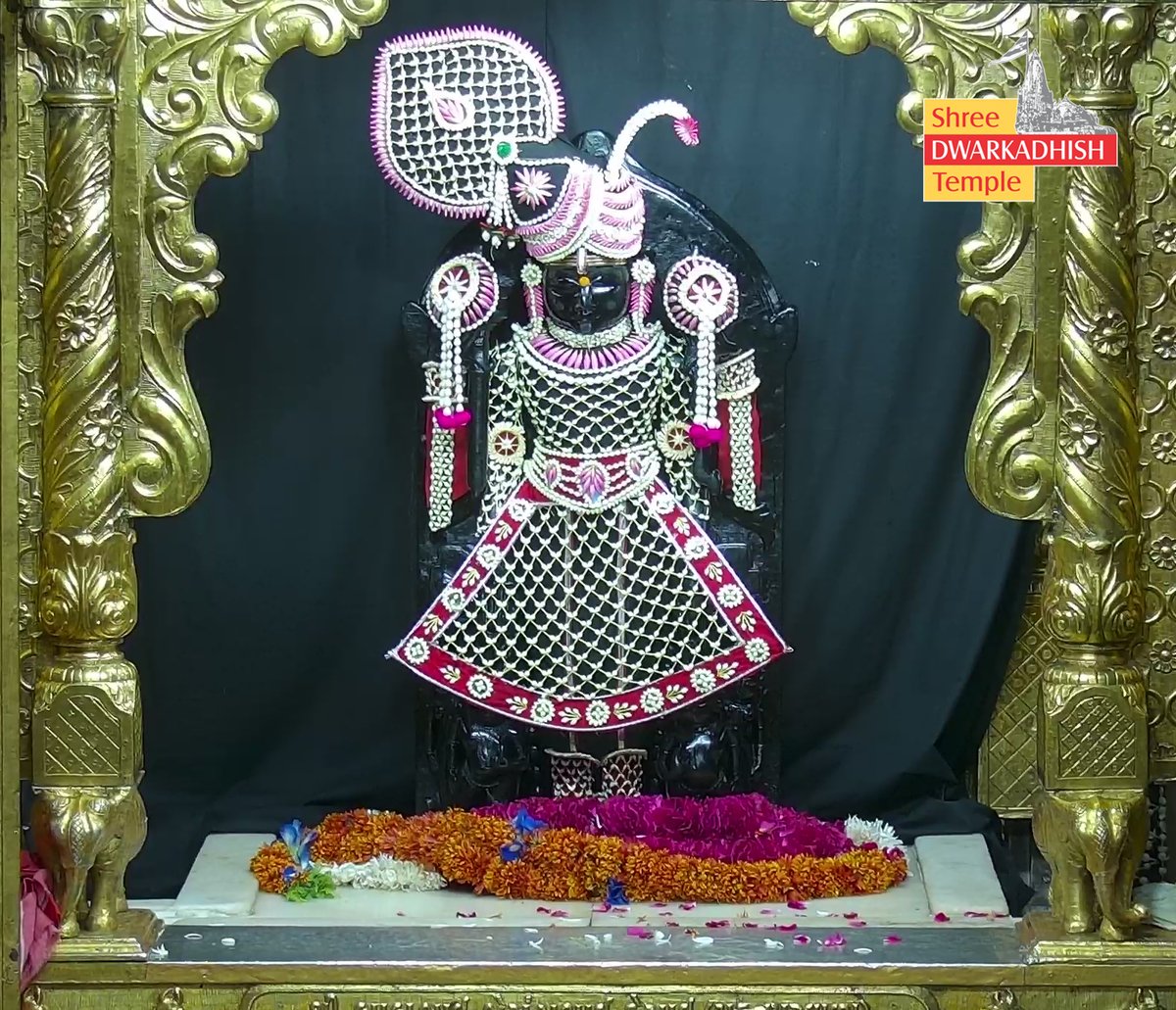 DwarkaOfficial's tweet image. राजाधिराज द्वारकाधीश जी के मङ्गला आरती दर्शन 🙏🏻
श्री द्वारकाधीश मंदिर द्वारका,गुजरात
दिनांक :- 02/05/2026 शनिवार                                             
                                             
#dwarka #manglaaarti
#ShridwarikadhishmandirOfficial