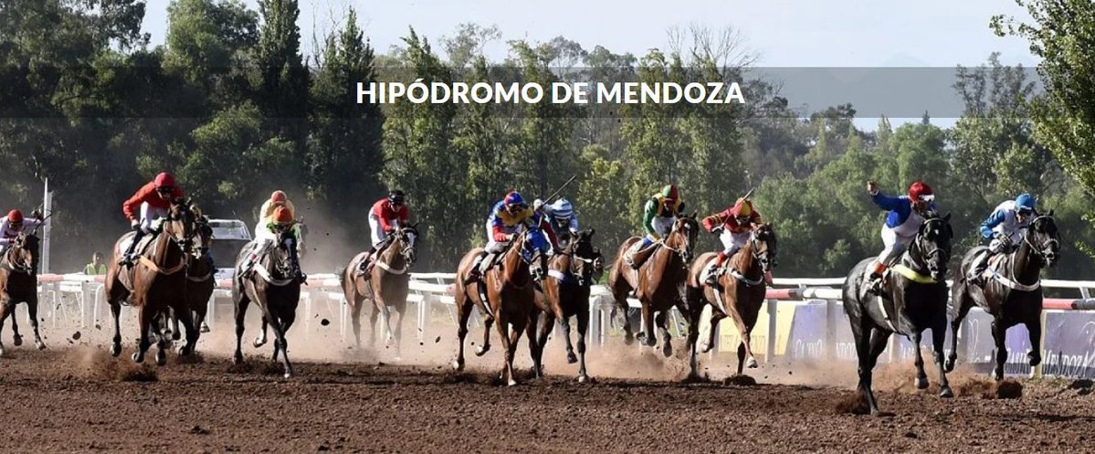 ByBell_1's tweet image. ⪻ Hipódromo de Mendoza: El truf es trabajo - 🏇⪼  

•─────────•♘•─────────•  

#umamusume │ #ウマ娘 │ #anime │ #caballos │ #TurfArgentino │ #Turf │ #CarrerasDeCaballos │ #Carreras │ #hipodromo