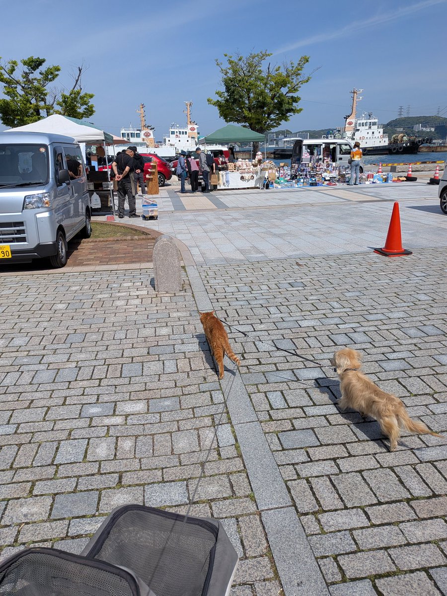 今日の門司港はフリマやってました！