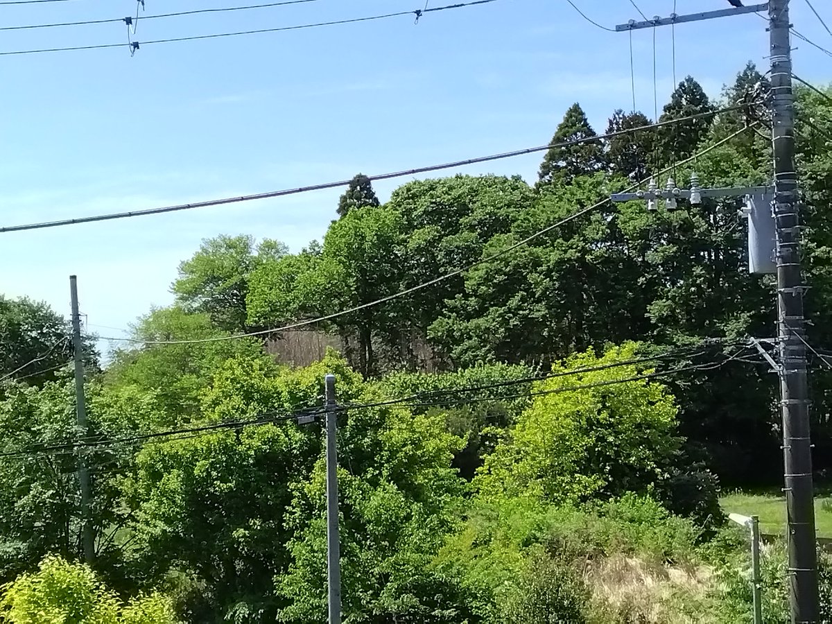 nakaken123123's tweet photo. いい天気の土曜日の朝、おはようございます🌞
窓から見える家の周り木々の新緑が映えてきた5月最初の土曜日の朝🌳ノンバンドのこの曲を聴いて1日がスタートです🥱
NON BAND - おはよう
https://t.co/41SdtXFtYH
#NONBAND https://t.co/It5RxtSQSx