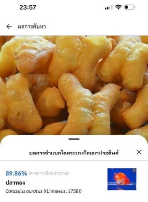 กรมประมงเปิดตัวแอป Thailand FishAI งบประมาณ 9 ล้านบาท

- สแกนปาท่องโก๋ เป็น ปลาทอง
- สเเกนกุ้ง เป็น ปลาทู