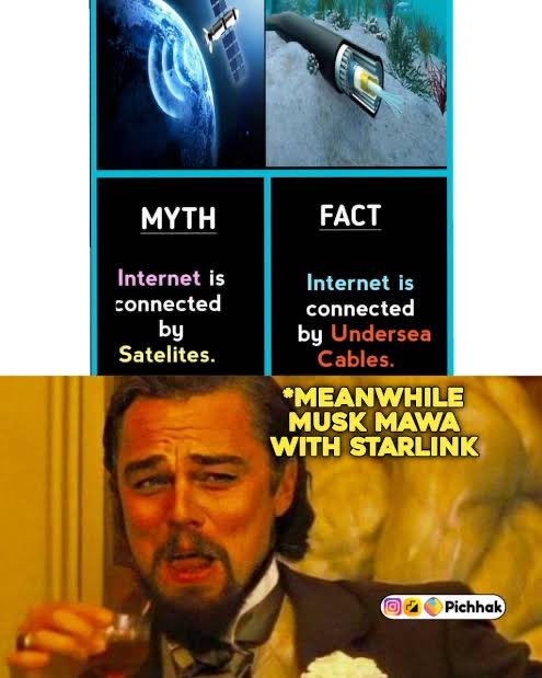 Origins of Memes tweet media