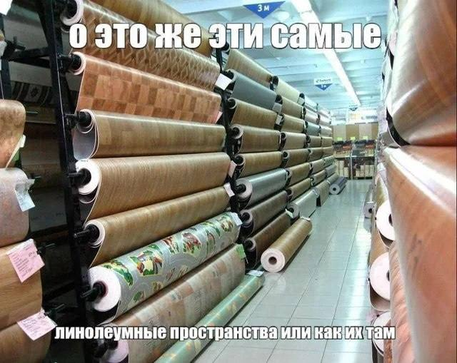 Иван Цепеш tweet media
