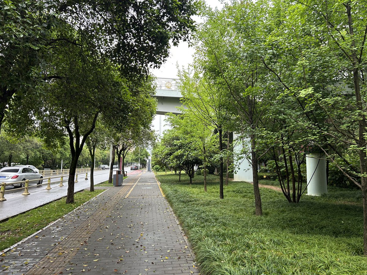 MadForMaple's tweet image. A wet weekend walk. Heading to check out a small neighborhood shrine about 5km from my house. Raining but I had #coffee ☕️!!!