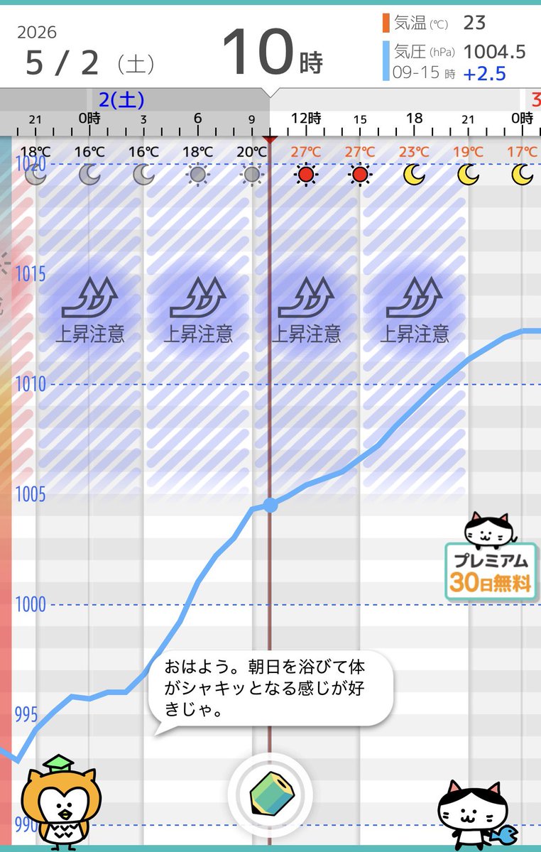 さぶえり tweet media