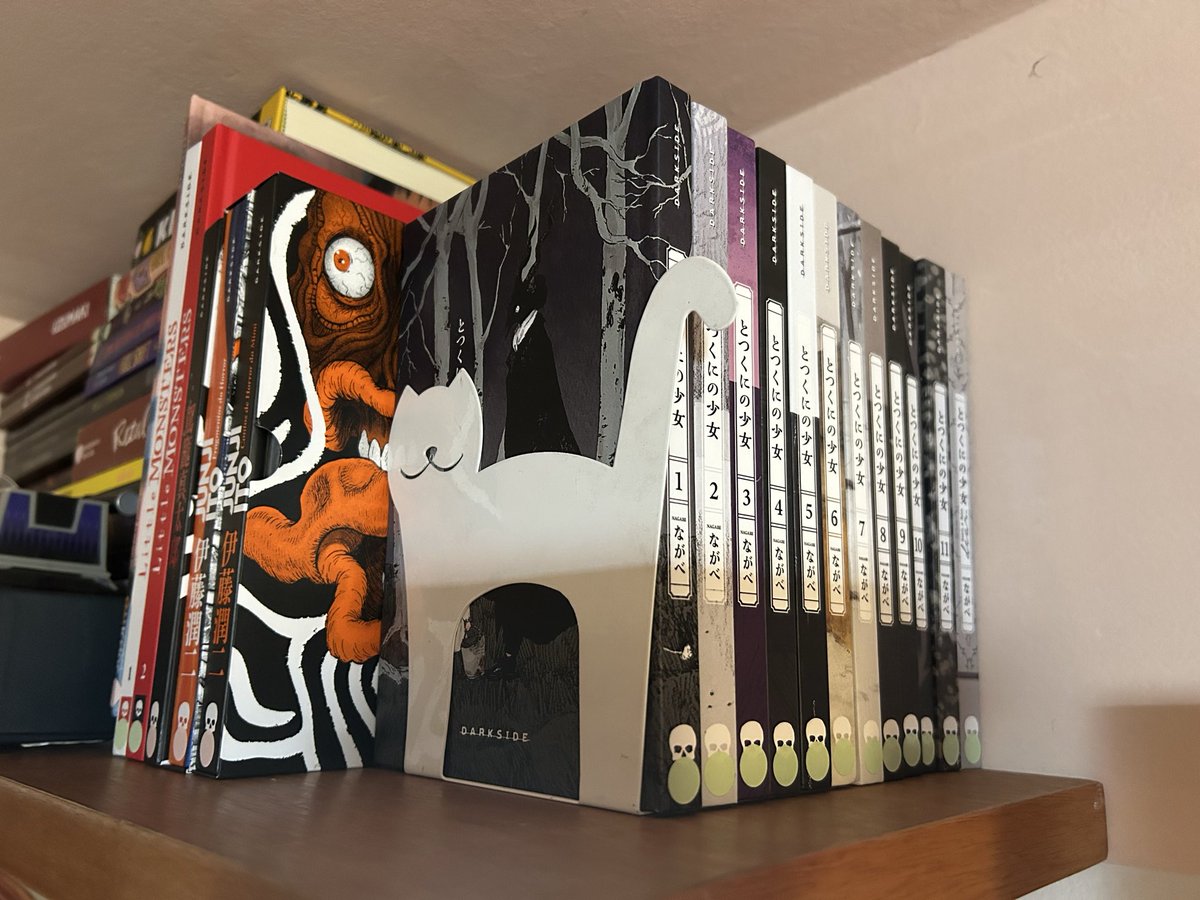 Não gente, mas e essa coleção de mangá aqui? 
Eu comecei a ler mangá ano passado… 💗
