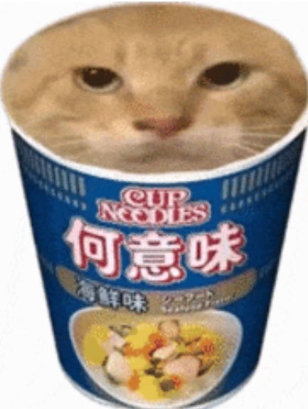 朔云 tweet media