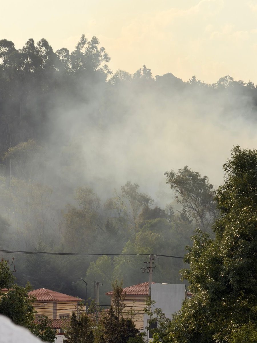 mamadeanas's tweet photo. @ALaMagdalenaC @CesacContreras incendio en San Bernabé! Urge atención https://t.co/jytU8f96RC