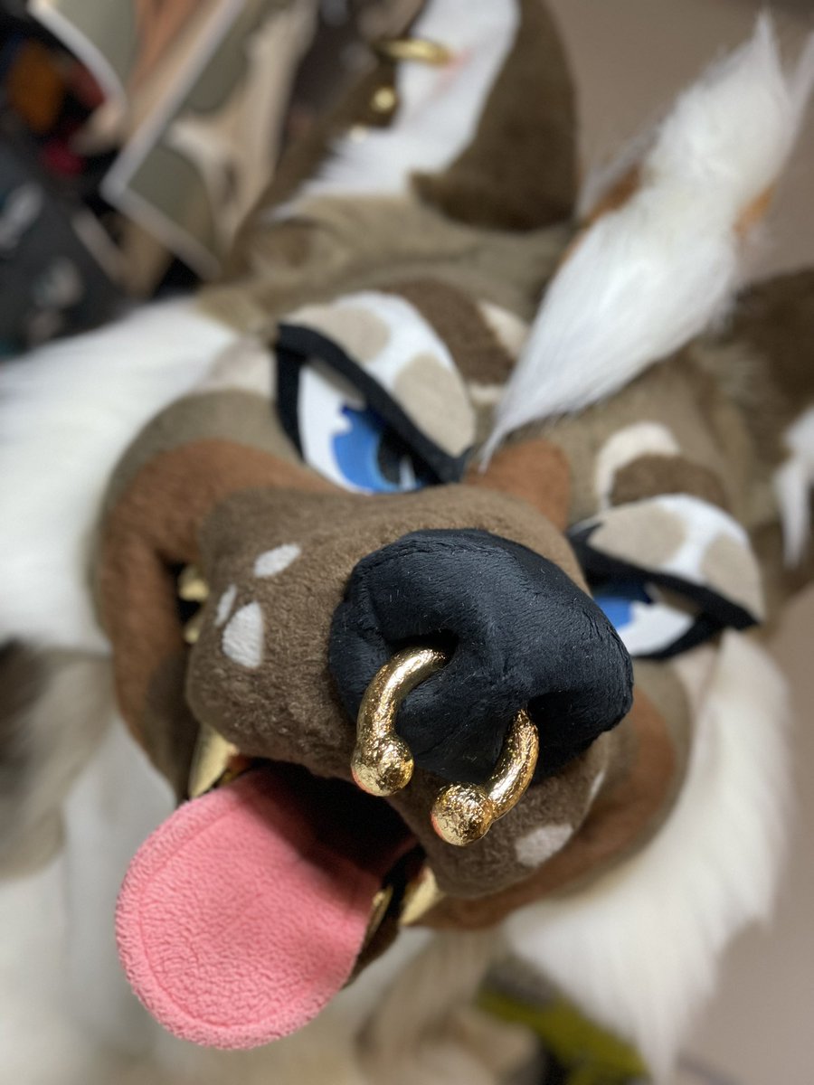 ⛓Moon 🔜 FWA, AC, Mega⛓️ tweet media