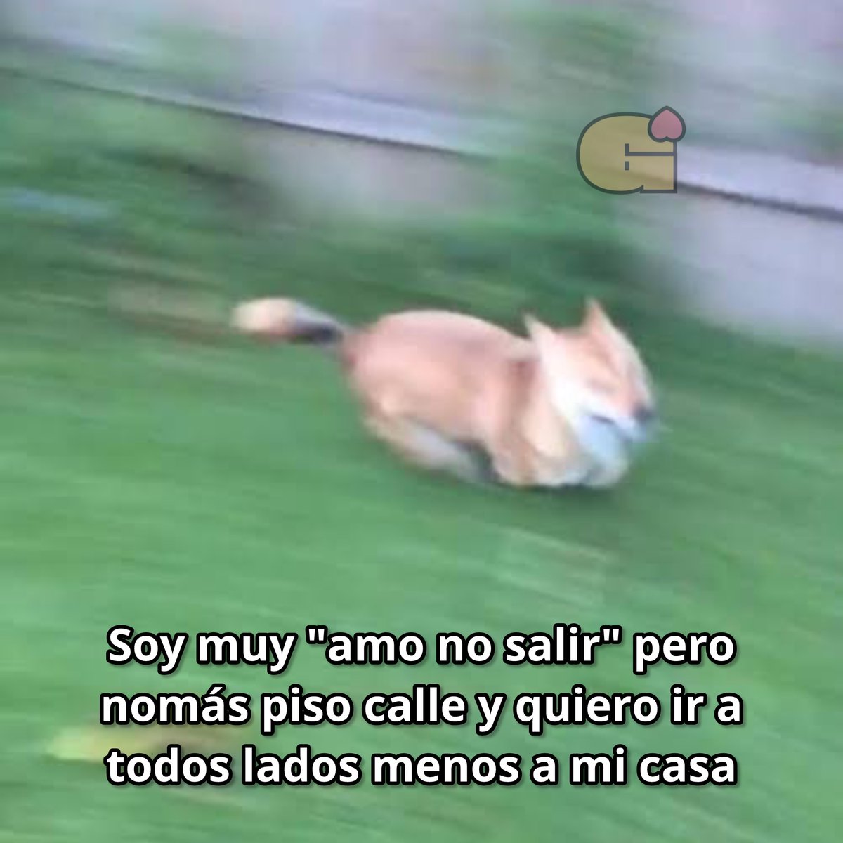Guarromantico_'s tweet photo. Soy ese! https://t.co/cEiJ8OCP8f