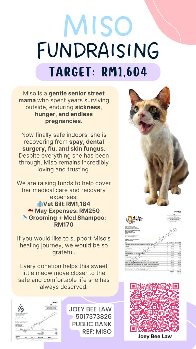 stockingmocha's tweet photo. Miso’s Fundraising 

‼️Balance Needed: RM220‼️

We’re almost there 🙌🥹

Thank you everyone for your kindness and support towards Miso.

Yesterday Miso finally got a much needed bath after getting green light from our vet for her spay site. https://t.co/131wRnkmRf