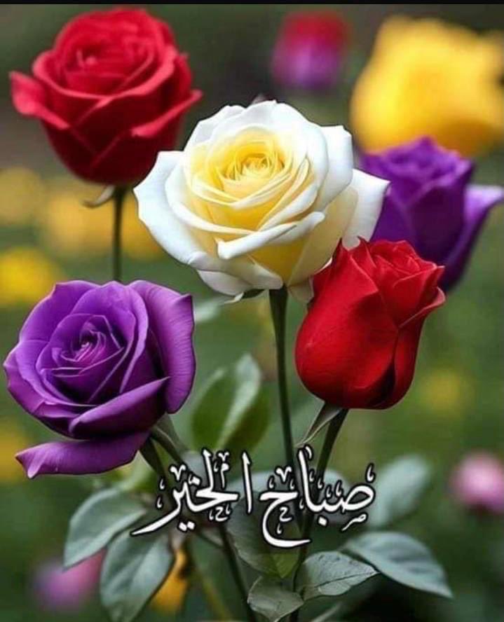سموالروح tweet media