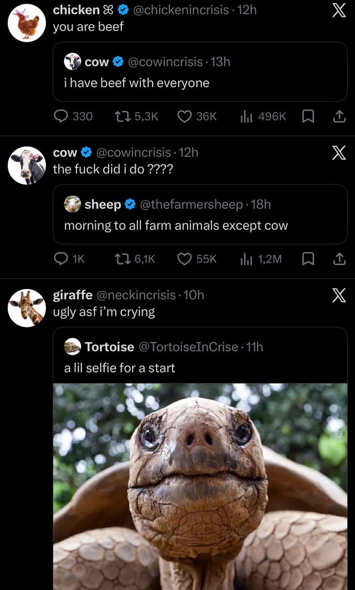Jamie Runcandell tweet media