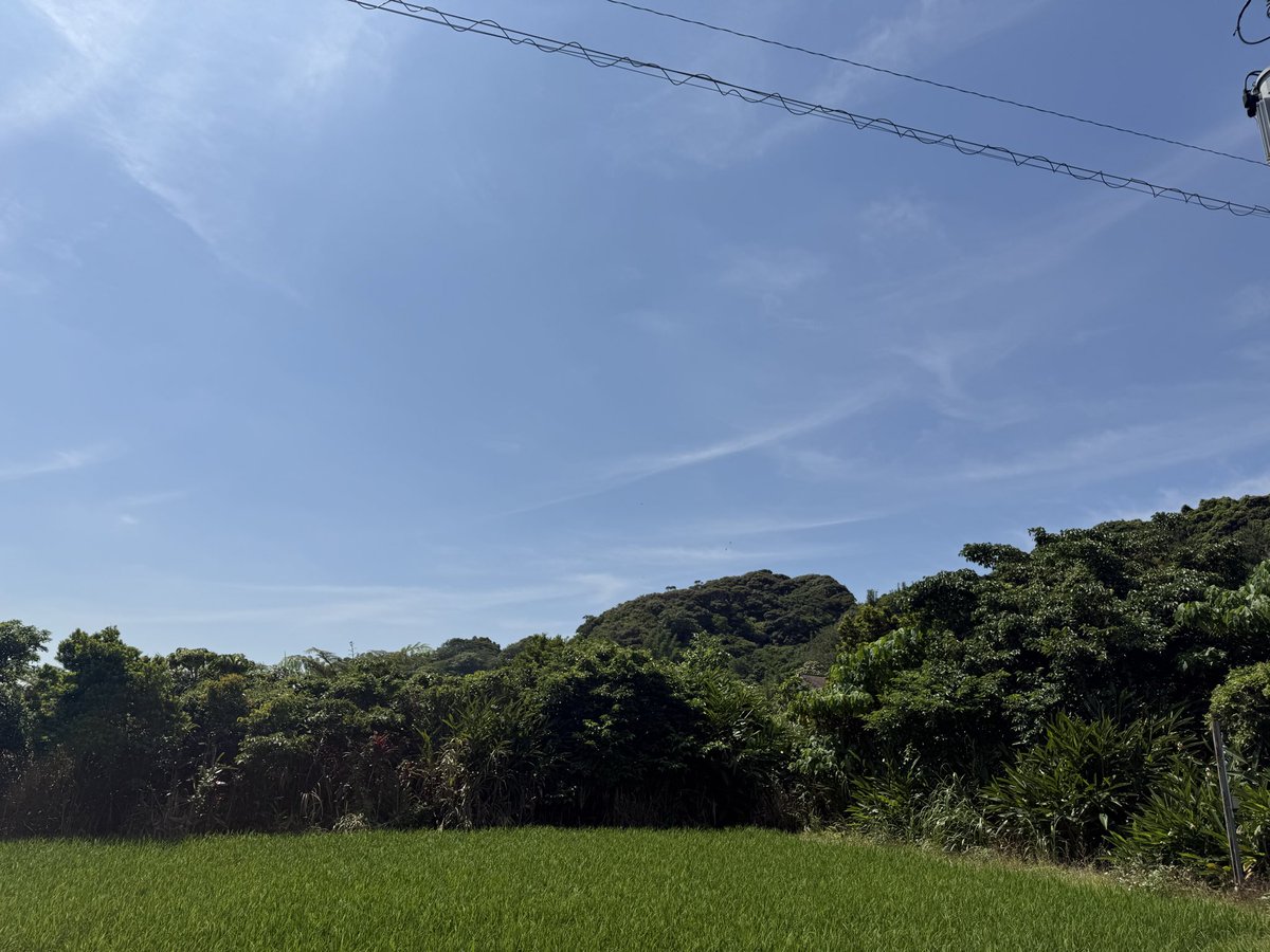家の前はこんな感じ