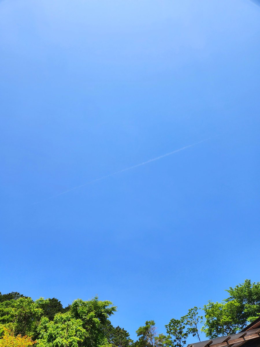 あお　(休憩してます) tweet media