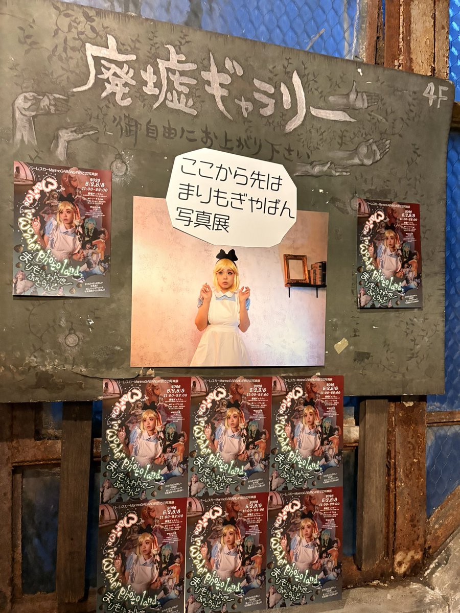 まりもちゃん初めて写真展今日からです🟢

「まりもいんわんだ～ふぉとらんど」＠廃墟ギャラリー

時間：11：00～22：00

ショータイム：
1日1回　15：00～
観覧無料・雨天中止・投げ銭歓迎
撮影会：
15：30以降ご要望がありましたら順次承ります。廃墟ギャラリーにて写真撮影ができます。投げ銭制。