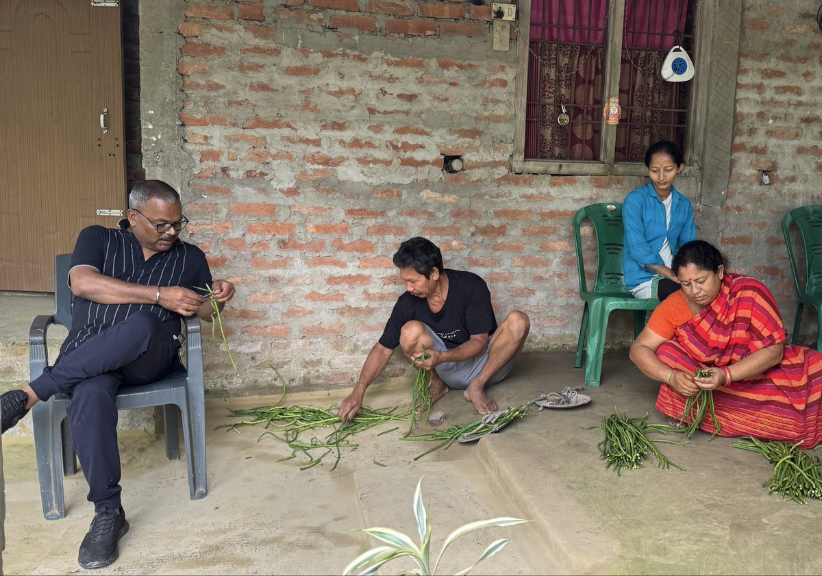 Mrinal_MLA's tweet image. Beginning of life in a village household …
#MorningVibes
#VillageLife
#HappyLife #SimpleLiving
এখন গাঁৱলীয়া ঘৰত দিনটোৰ জীৱনৰ আৰম্ভণি...