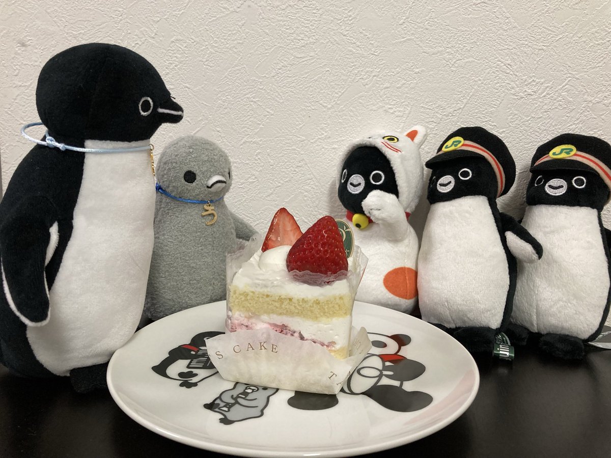 おはペンさんです🐧

ちょっと遅くなったけど昨日は新しくお迎えした🐧達の歓迎会。

先輩🐧から歓迎を受けています。
おや?何か言ってるみたいですね🤔

先輩🐧：この家ではぬしのつまらないボケに慣れることが大事だよ。イチゴケーキ🍰食べて。ぼくたちからのプレゼントだよ。

ぬしに厳しいー😭