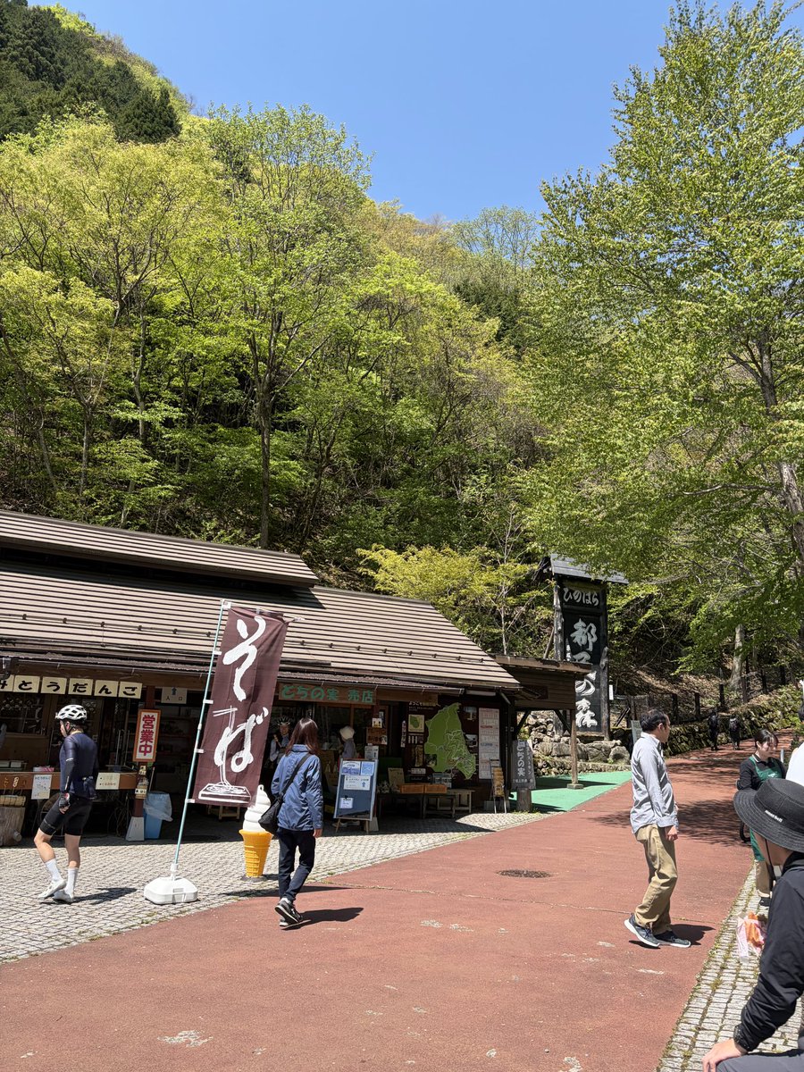 シュアラスタースポーツ tweet media
