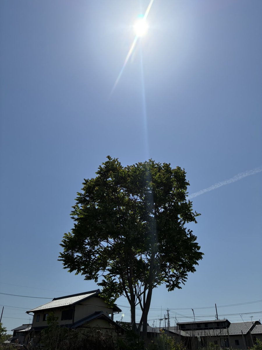 おはようございます⏰☀️𓈒𓂂𓏸5月2日土曜日🍀

寝違えて朝から頭が痛く起き上がるのに1時間かかりました💦今日はお天気☀️も良く暑くなりそう😂今日も一日皆さん無理のないように良い一日をね☆。.:＊・゜

今日も一日皆さんよろしくお願いします(*´꒳`*)