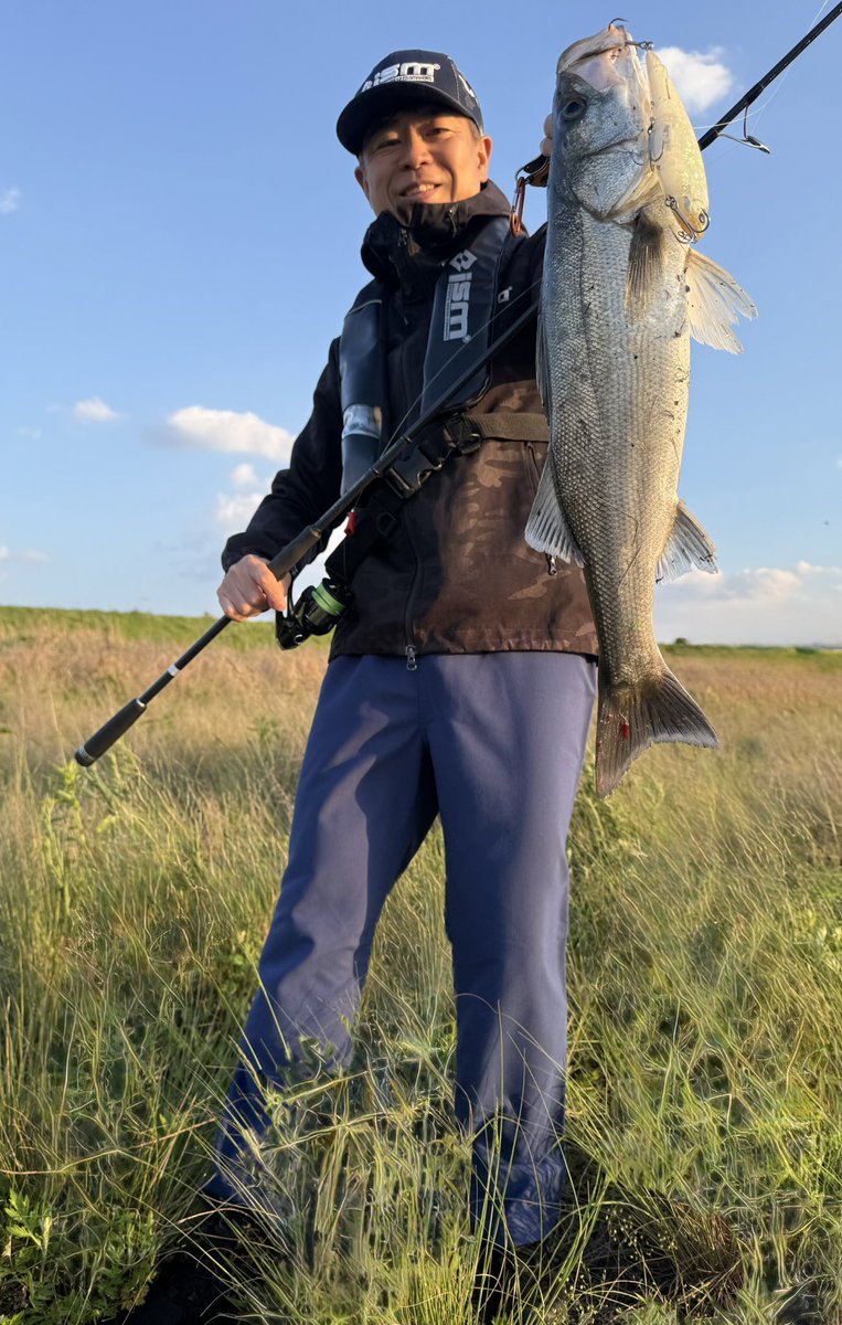 chobi178's tweet photo. デイシーバスは魚が映えますね！
リップレス フラットサイドビッグベイトism YURAGI150F が良い仕事してくれました♪
#YURAGI150F 
#ism #infiniteseedsmakers 
@infiniteseedsmakers
#gamakatsu
@gamakatsu_jp
#TREBLE_RBMH
#gamakatsuフックモニター
#シーバス
#大分シーバス
#PR https://t.co/xVavNcbota