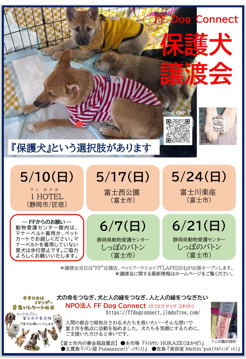 NPO法人　FF Dog Connect tweet media