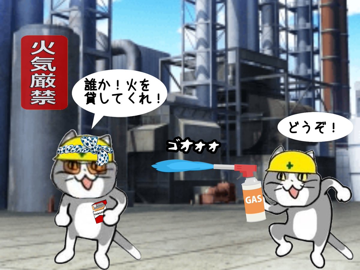 猫神⛩ tweet media