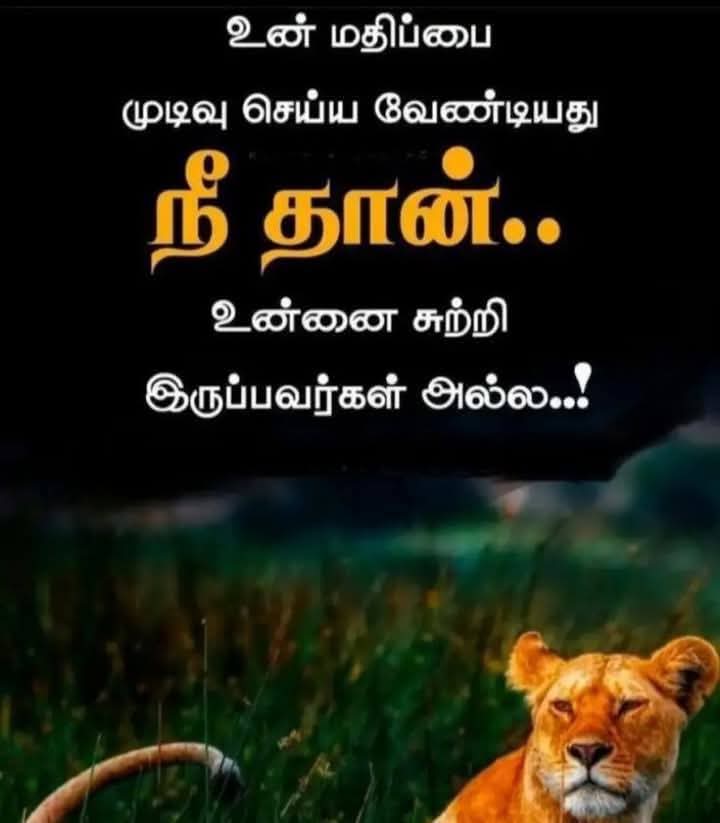 BestTamilQuotes's tweet image. #quotes #Quote #btq #life #TamilQuotes