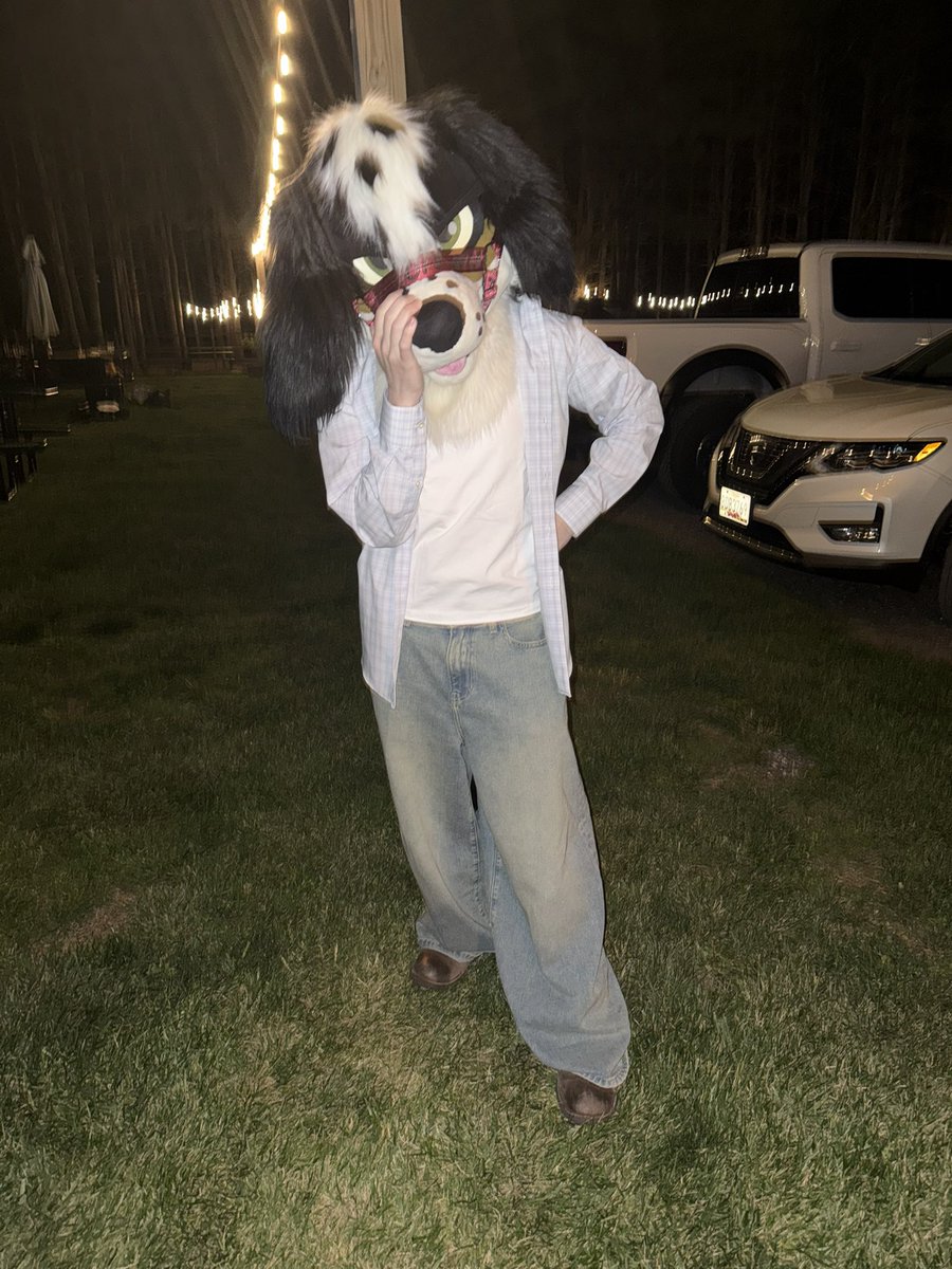 Blush🔜Anthrocon tweet media